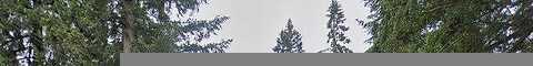 126Th, PUYALLUP, WA 98373