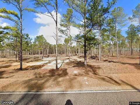 St Mathews Church Rd, Metter, GA 30439