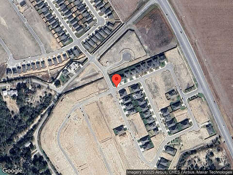 Canyon Live Oak, Seguin, TX 78155