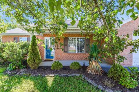7700 Cotton Patch Rd, Corryton, TN 37721
