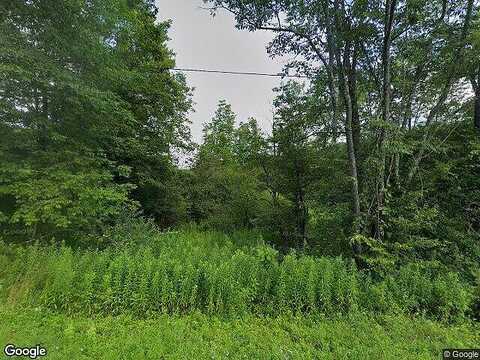 Lots 2 And 3 Burdick Hill Rd, Otego, NY 13825