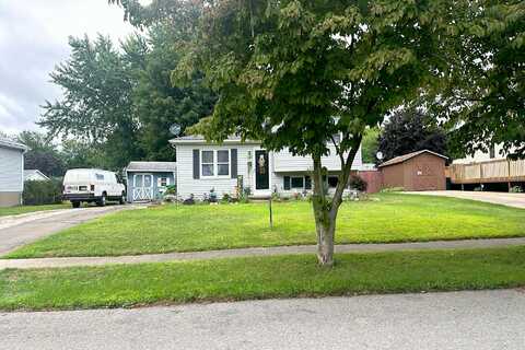 Pheasant, GIRARD, PA 16417