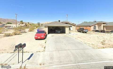 Cholla, TWENTYNINE PALMS, CA 92277