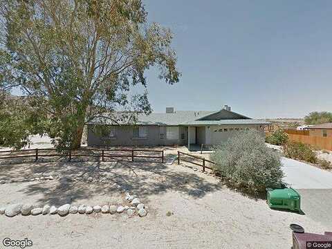 Eucalyptus, TWENTYNINE PALMS, CA 92277