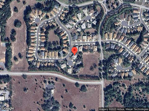 Dahoon, SPRING HILL, FL 34609