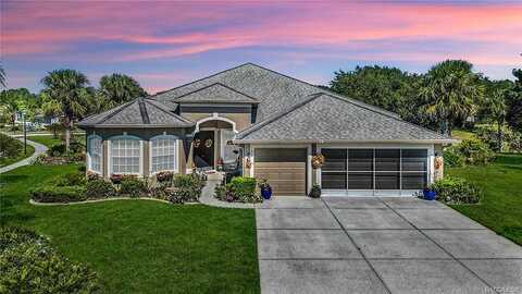 Dahoon, SPRING HILL, FL 34609