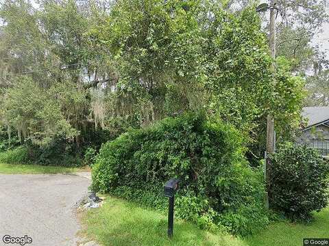 Silver, UMATILLA, FL 32784
