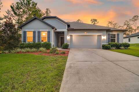 Crossandra, HOMOSASSA, FL 34446