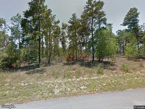 Crossandra, HOMOSASSA, FL 34446