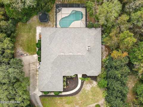 Black Willow, DELAND, FL 32724