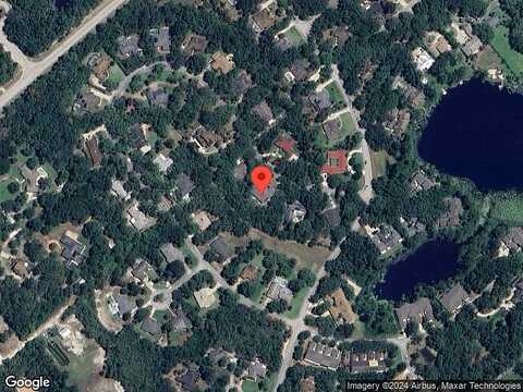 Black Willow, DELAND, FL 32724