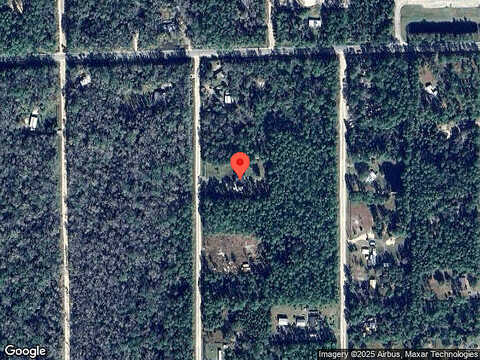 Guava, BUNNELL, FL 32110