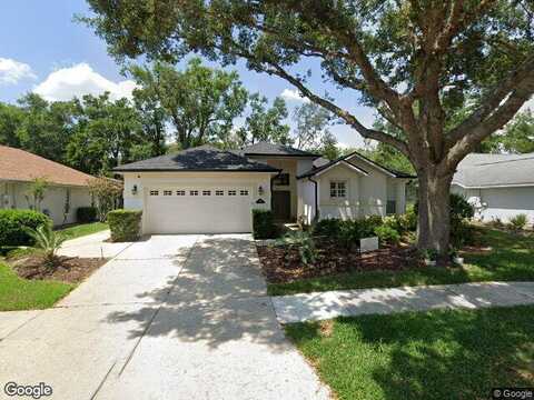 Falconbridge, MOUNT DORA, FL 32757