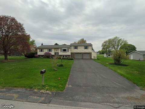 Ringneck, BELLEFONTE, PA 16823