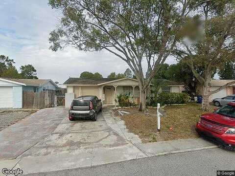 Bigelow, HOLIDAY, FL 34691