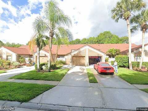 Hillmoor, PALM HARBOR, FL 34685