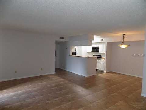Thornbriar Lane, Orlando, FL 32822