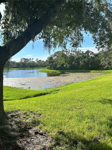 5919 PHOEBENEST DRIVE, LITHIA, FL 33547