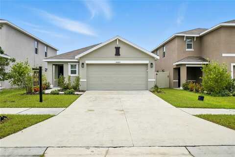 16805 DELIA STREET, WIMAUMA, FL 33598