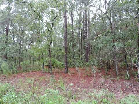 Tbd SW 135TH TERRACE ROAD, DUNNELLON, FL 34432