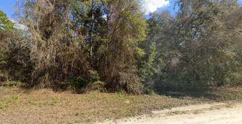 13414 CANYON SWALLOW ROAD, WEEKI WACHEE, FL 34614