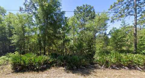 7350 W VILLAGE DRIVE, HOMOSASSA, FL 34446