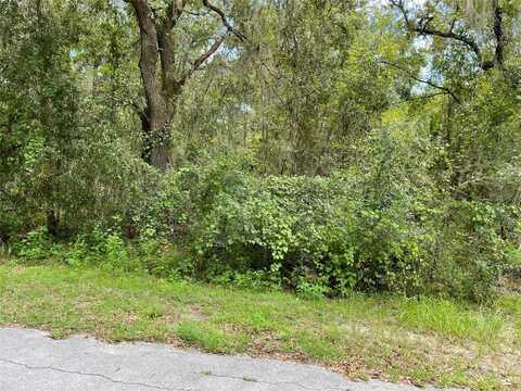 Lots 13 & 14 SW SHOREWOOD DRIVE, DUNNELLON, FL 34431