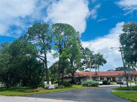 1090 MONTROSE PLACE, DUNEDIN, FL 34698
