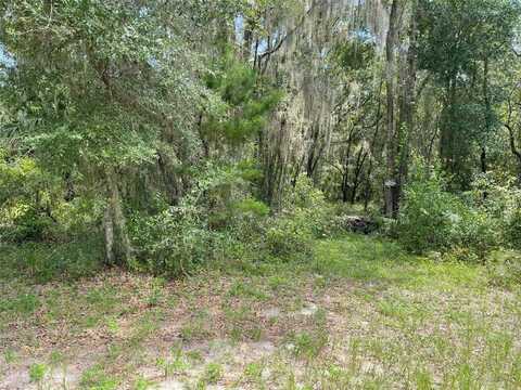 Lots 15 & 16 SW SHOREWOOD DRIVE, DUNNELLON, FL 34431