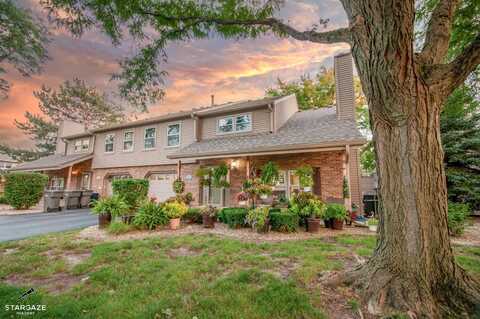 9337 Waterford Lane, Orland Park, IL 60462