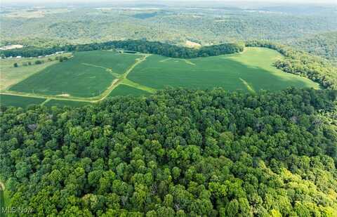 Township Road 7, Brinkhaven, OH 43006