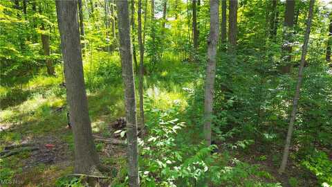 1151 Laurel Drive, West Salem, OH 44287