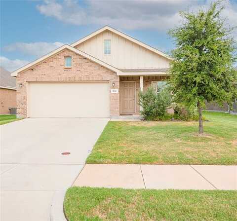 1614 Fields View Drive, Anna, TX 75409
