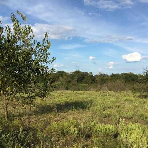 40 Acres NE County Road 2160, Kerens, TX 75144