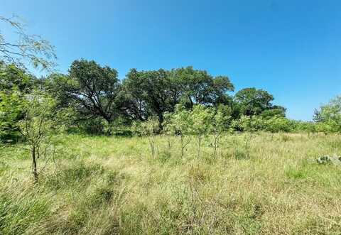 Lot 6 Morris Sheppard Drive, Brownwood, TX 76801