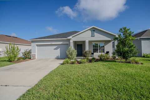 3977 Fescue St, Clermont, FL 34714
