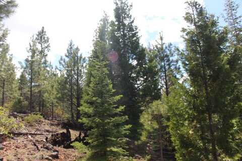 Tower Springs, Bly, OR 97622