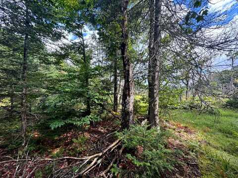 1.1 Farr Rd, Ohio, NY 13324