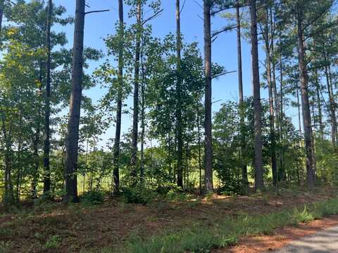0 Ambler Rd, Louisa, VA 23093