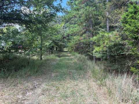 0 Sain Rd, Saulsbury, TN 38067