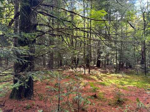 1.3 Farr Rd, Ohio, NY 13324