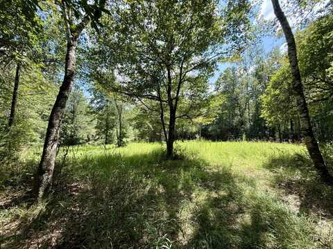 0 Ernest Everett Road, Vinegar Bend, AL 36584