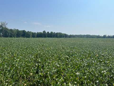 0 Ambler Rd, Louisa, VA 23093