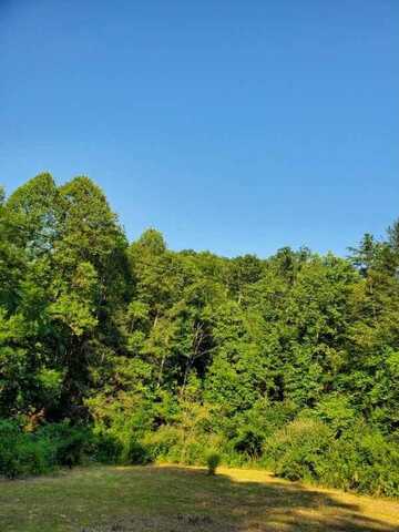 0 Hopkins Fork, Pikeville, KY 41501