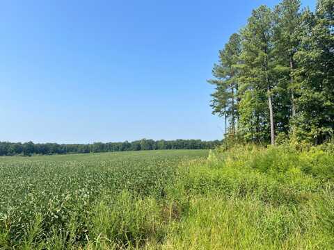 0 Ambler Rd, Louisa, VA 23093