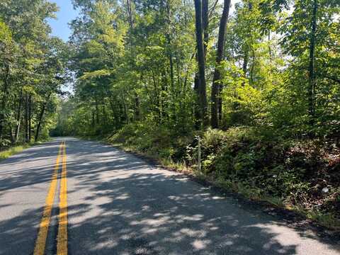0 Ambler Rd, Lousia, VA 23093