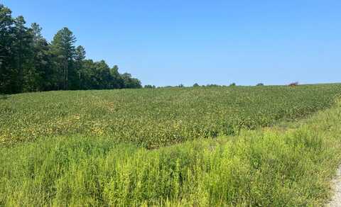 0 Ambler Rd, Louisa, VA 23093
