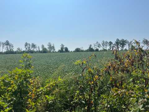 0 Ambler Rd, Louisa, VA 23093