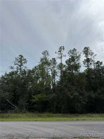 608 E Kingsdale Street, Citrus Springs, FL 34434