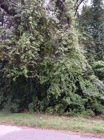 6245 E Peach Street, Inverness, FL 34452